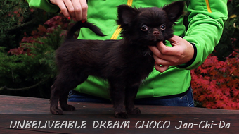 UNBELIVEABLE DREAM CHOCO Jan-Chi-Da