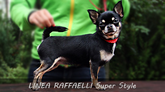 LINEA RAFFAELLI Super Style