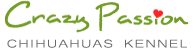CrazyPassion.pl Logo